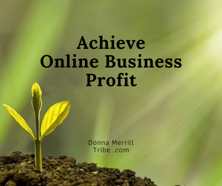 How fast can I achieve online business profit - ♫ Donna Merrill Tribe